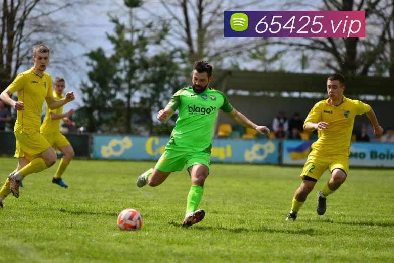 企业概况